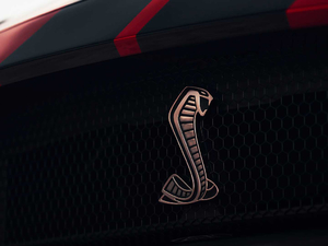 2020Shelby GT500 (ji)^
