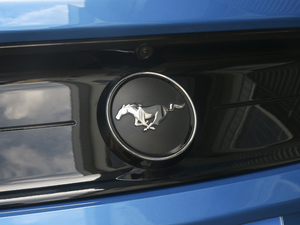 20202.3T EcoBoost (x)(ji)^