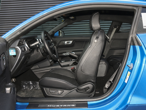 20202.3T EcoBoost ǰſg