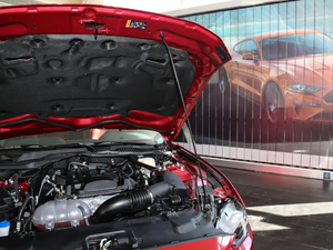 20202.3T EcoBoost Ӱ؄e 