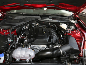 20202.3T EcoBoost Ӱ؄e 