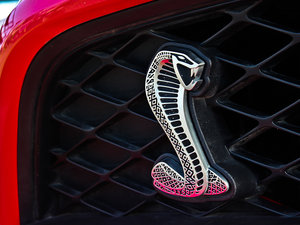 2012GT500 քӘ˜ʰ ^