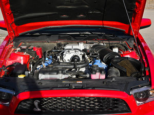 2012GT500 քӘ˜ʰ lәC