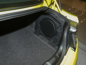 20212.3L EcoBoost ӹ(f) g