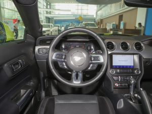 20212.3L EcoBoost ӹ(f) P