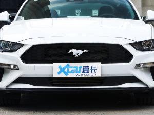 2022款2.3L EcoBoost 元光极昼限量版 中网