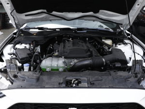 2022款2.3L EcoBoost 元光极昼限量版 发动机
