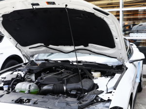 2022款2.3L EcoBoost 元光极昼限量版 其它