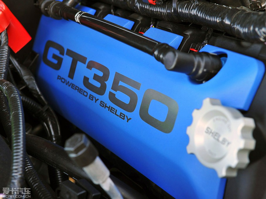 2013Mustang GT350 Shelby