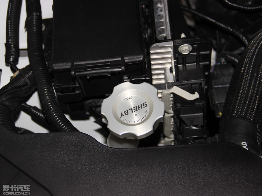 2013Mustang GT350 Shelby