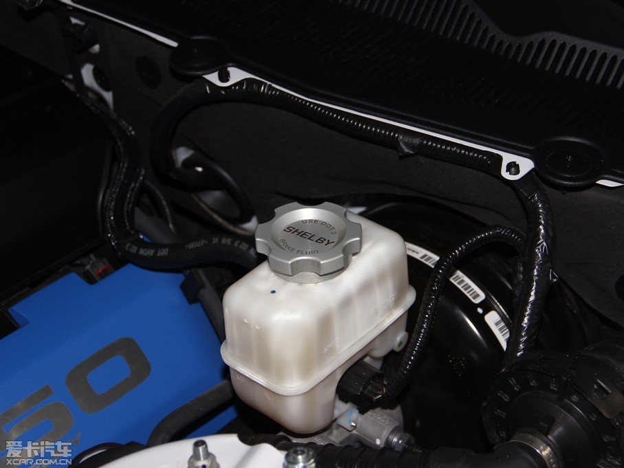 2013Mustang GT350 Shelby