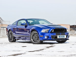 2013GT500 w^