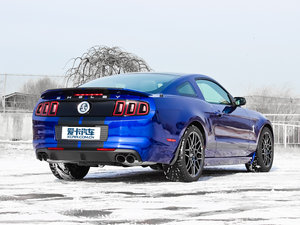 2013GT500 w^