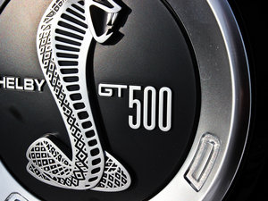 2013GT500 ^