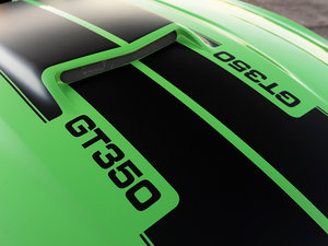 2013GT350 Shelby (ji)^