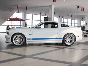 2013GT350 Shelby (c)