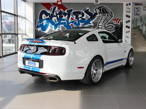 2013GT350 Shelby w^