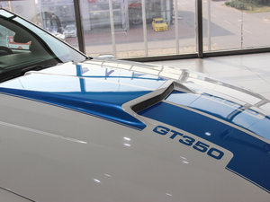 2013GT350 Shelby (x)(ji)^