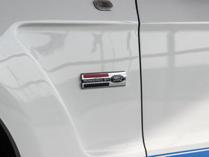 2013GT350 Shelby (x)(ji)^