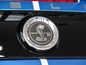 2013GT350 Shelby ^