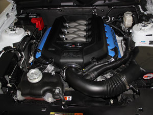 2013GT350 Shelby l(f)(dng)C(j)