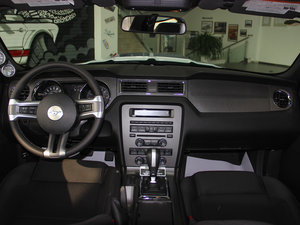 2013GT350 Shelby (ni)ȫ