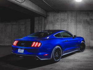 20155.0L V8 GT ܰ w^