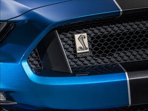 2015GT350R Shelby (x)(ji)^
