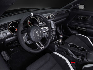 2015GT350R Shelby п؅^(q)