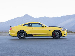 2015Shelby GT w^