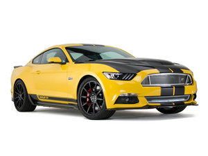 2015Shelby GT w^