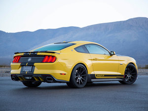 2015Shelby GT w^