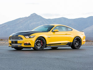 2015Shelby GT w^