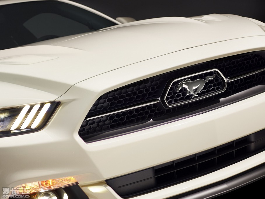 2014Mustang 50؄e