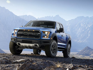 2015Raptor w^
