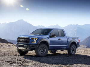 2015Raptor w^