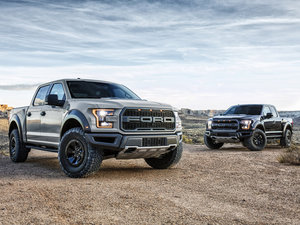 2016Raptor SuperCrew w^