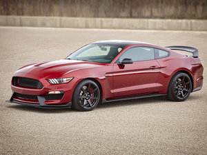 2016Shelby GT350R  w^