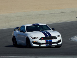 2016Shelby GT350R  w^