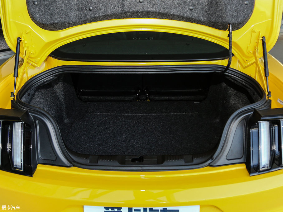 2017Mustang 2.3T \Ӱ