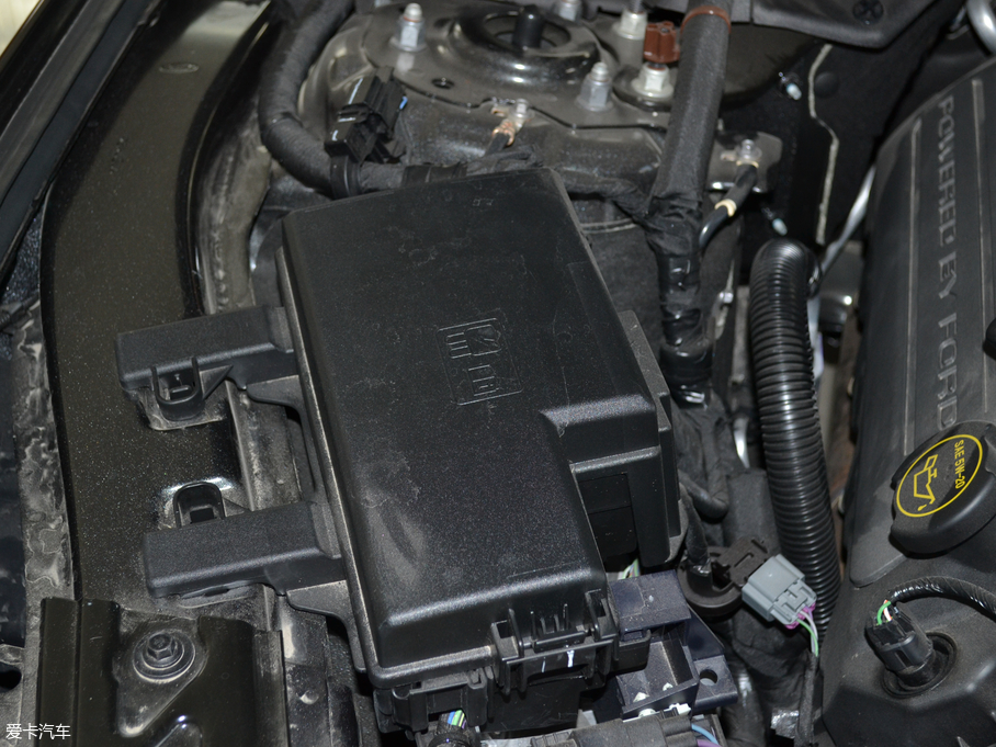 2017Mustang 5.0L GT ܰ