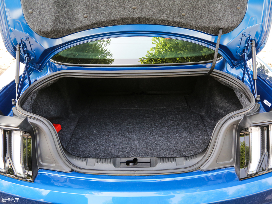 2018Mustang 5.0L V8 GT