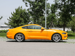 20182.3L EcoBoost w^