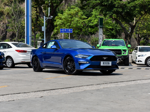 20182.3L EcoBoost w^