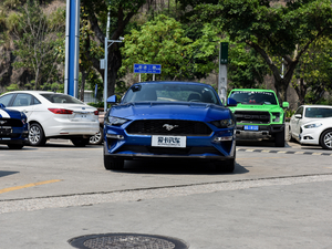 20182.3L EcoBoost w^