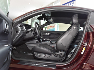 20182.3L EcoBoost ǰſg