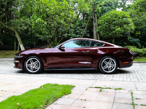 20182.3L EcoBoost (c)