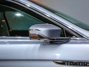 201980th Anniversary Coach Door Edition ^