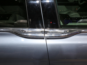 201980th Anniversary Coach Door Edition {T