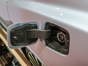 201980th Anniversary Coach Door Edition w